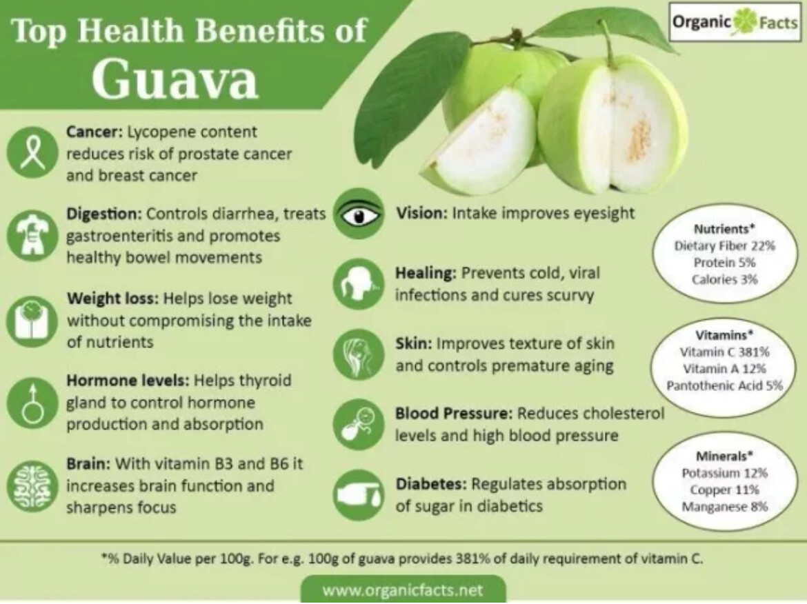 Pink Guava Seeds Easy Fruit Garden Fresh Grow TX USA Free Shipping Organic