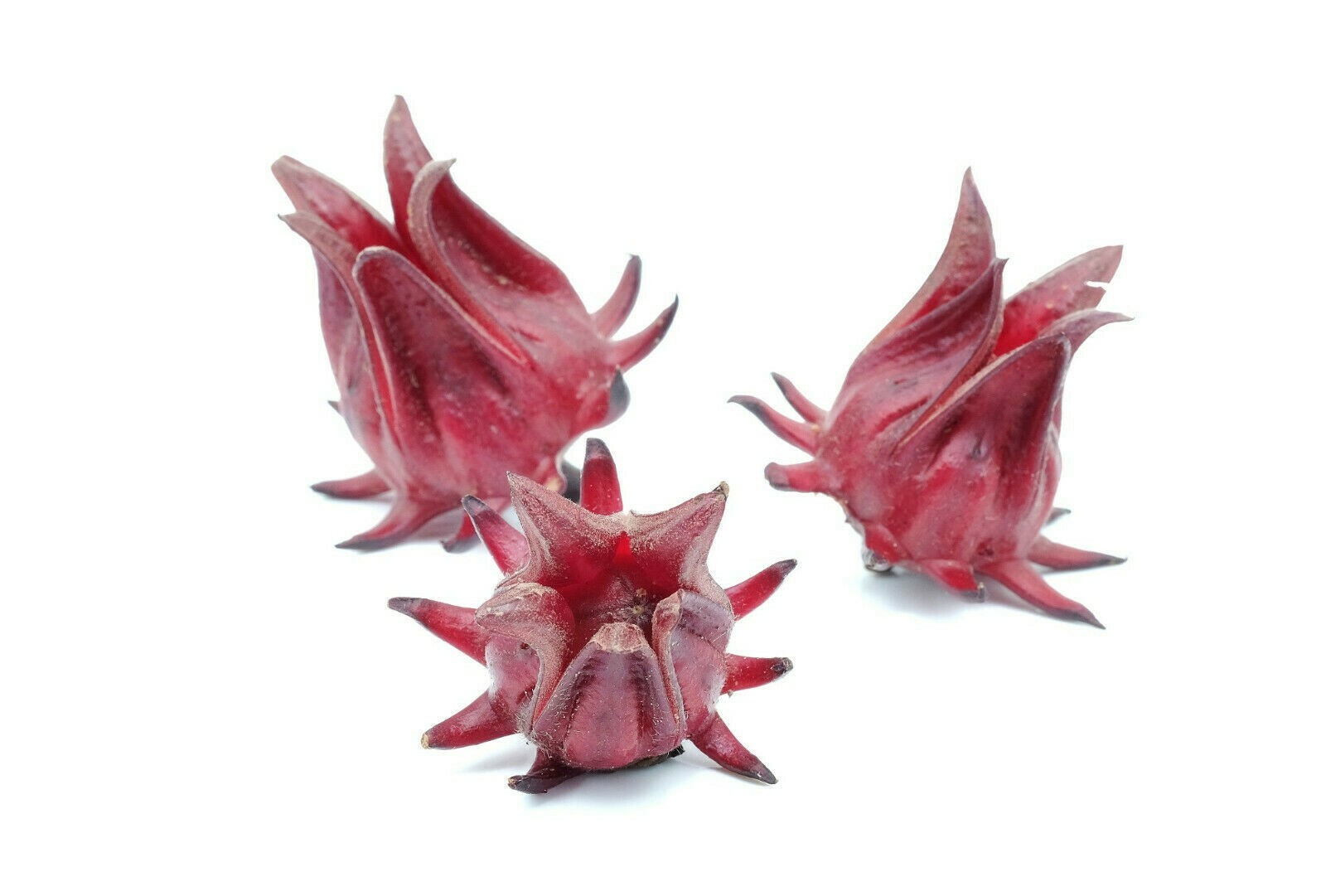 Roselle | Hibiscus Sabdariffa | Jamaican Sorrel | Roselle Jamaica | 20 Seeds