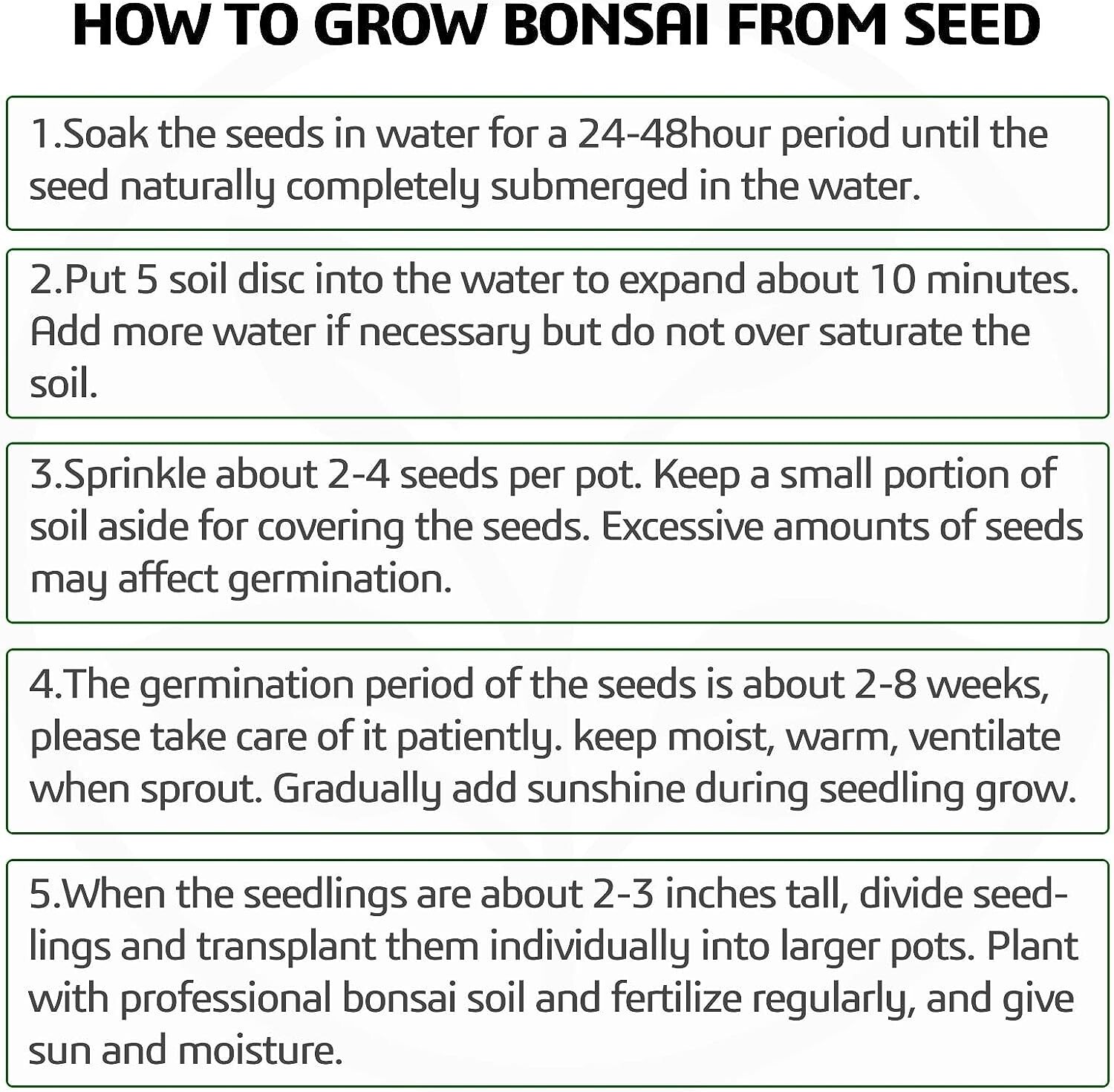 Bonsai Wisteria Tree seeds 2 count~ Blooms and Fragrant