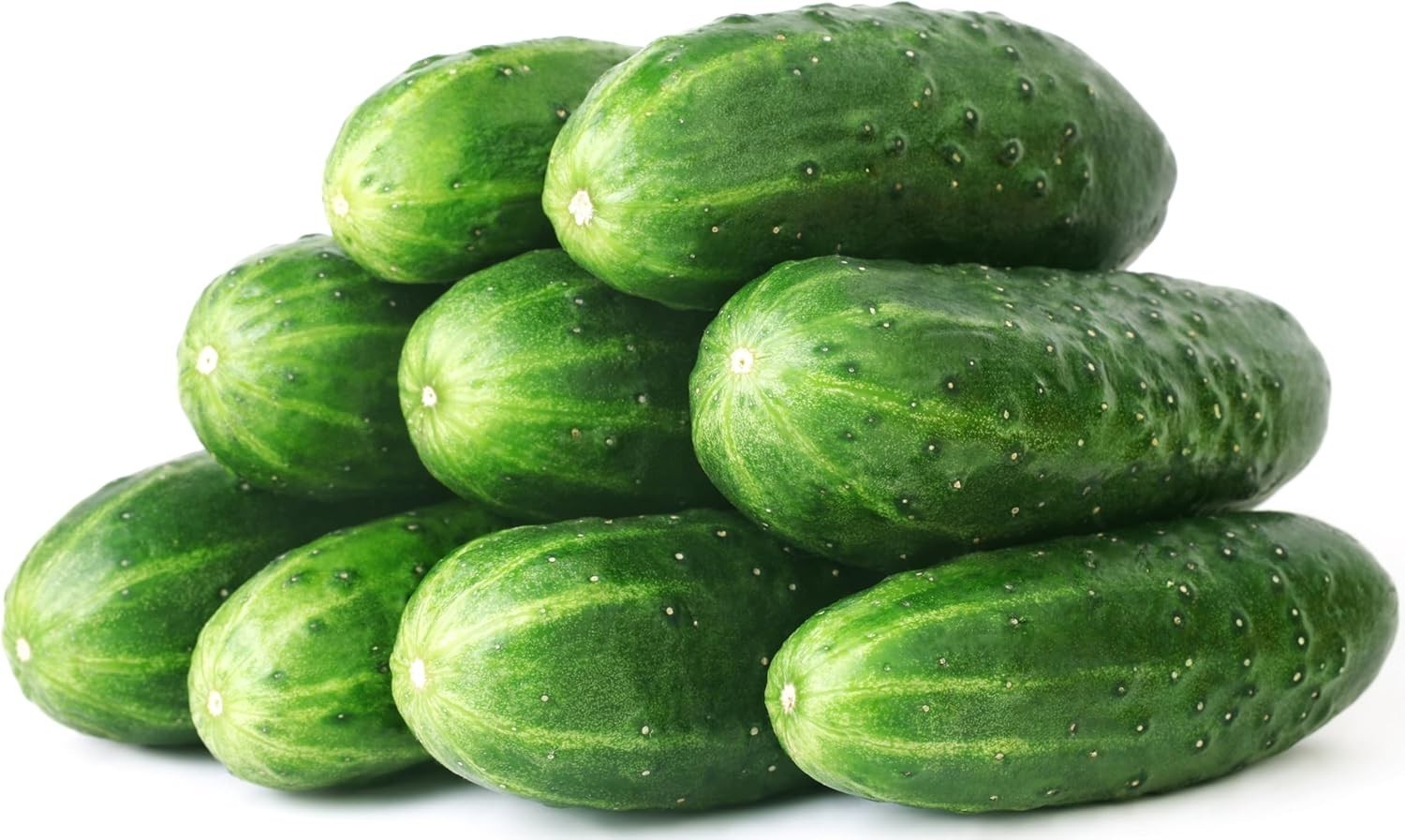 50 Straight Eight Cucumber Seeds – Heirloom Non-GMO Grown Vegetable Seeds fo…