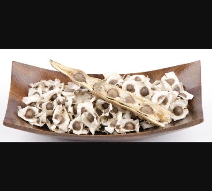 Moringa Oleifera Seeds Organic for planting Non GMO