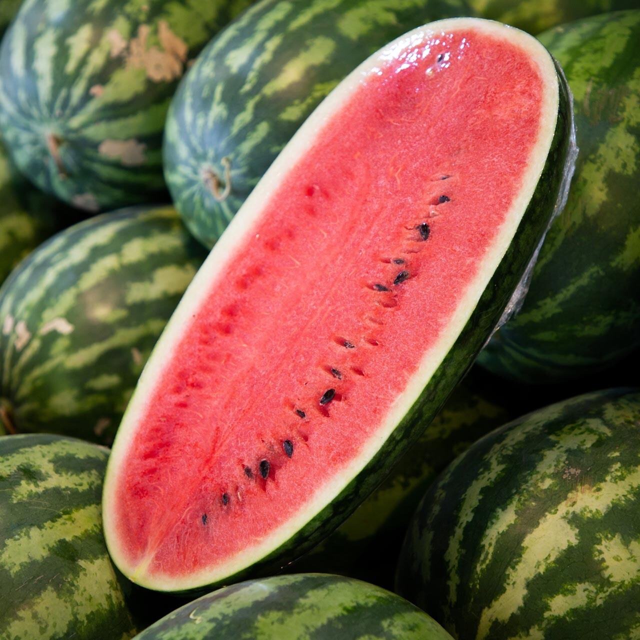 12 CONGO Watermelon Seeds – Large —— NON GMO – HEIRLOOM – FRESH