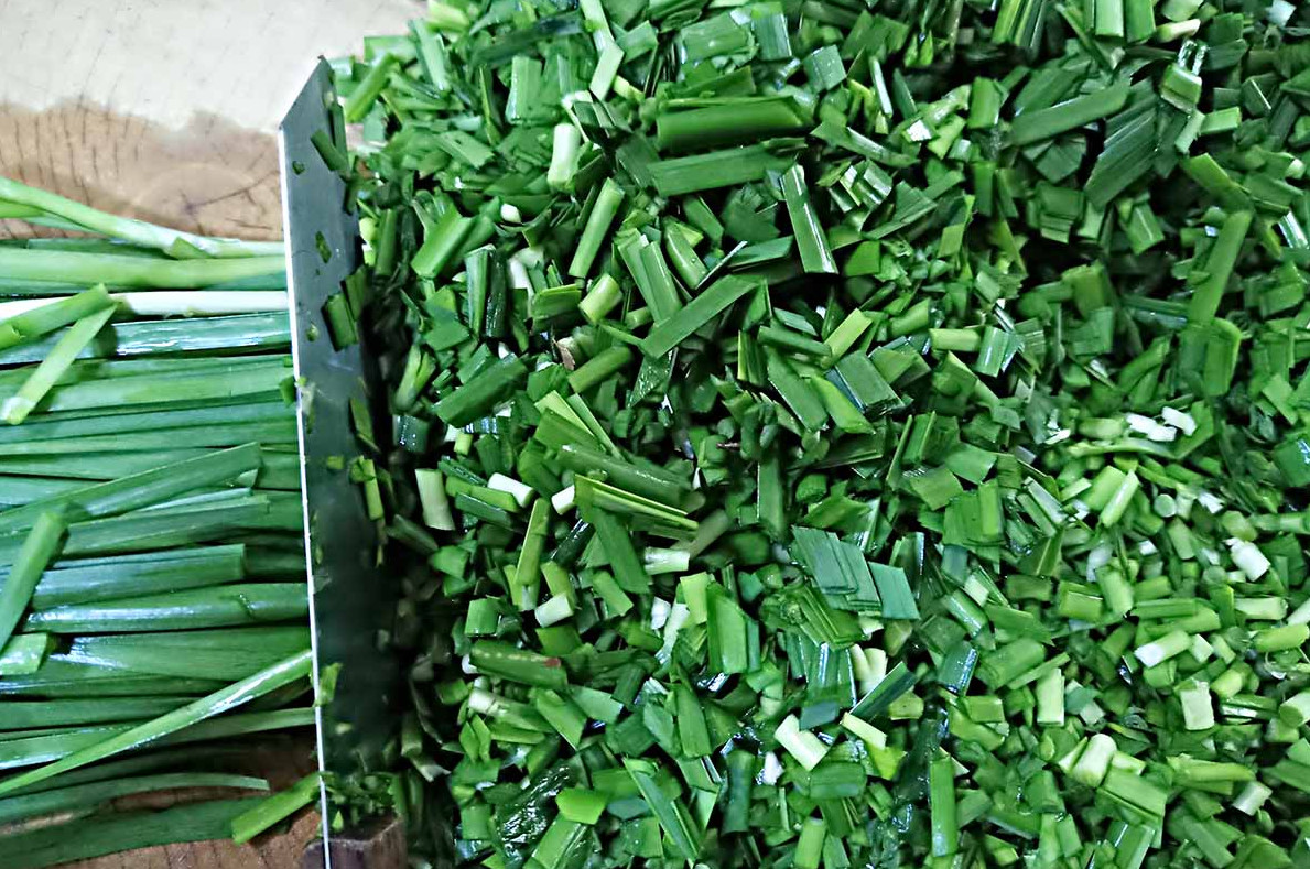 1 Set of 3 Live Chinese Garlic Chive Roots – Allium tuberosum – Ready to Plant