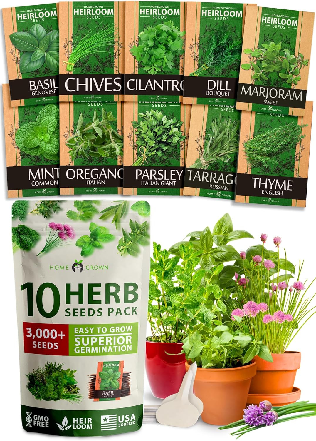 10 Culinary Herb Seeds – Non-Gmo, Heirloom Seeds – 3000+ Seeds for Planting f…