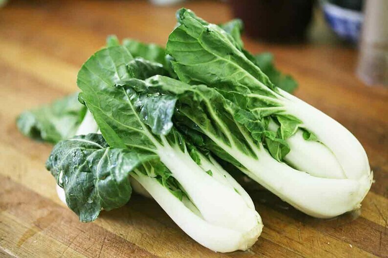 200+ Chinese Cabbage -Pak Choi White Stem (Bok choy) — Heirloom — NON GMO