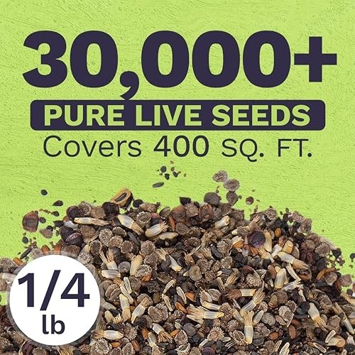 Bulk Wildflower Seeds Mix for Partial Shade – 1/4 lb, 30,000+ Open Pollinated