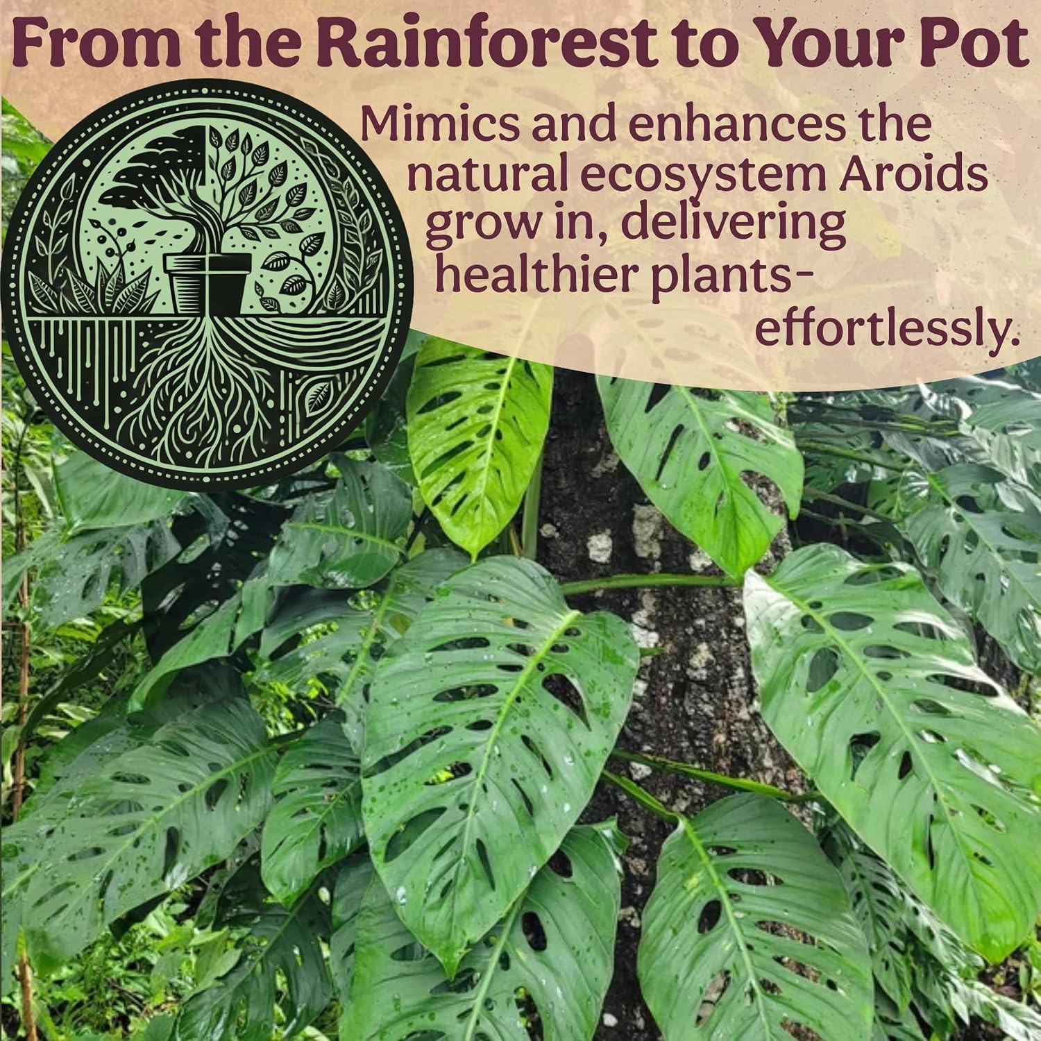 Craft Aroid Potting Mix- Elite Organic Alocasia, Philodendron, Monstera Soil Mix