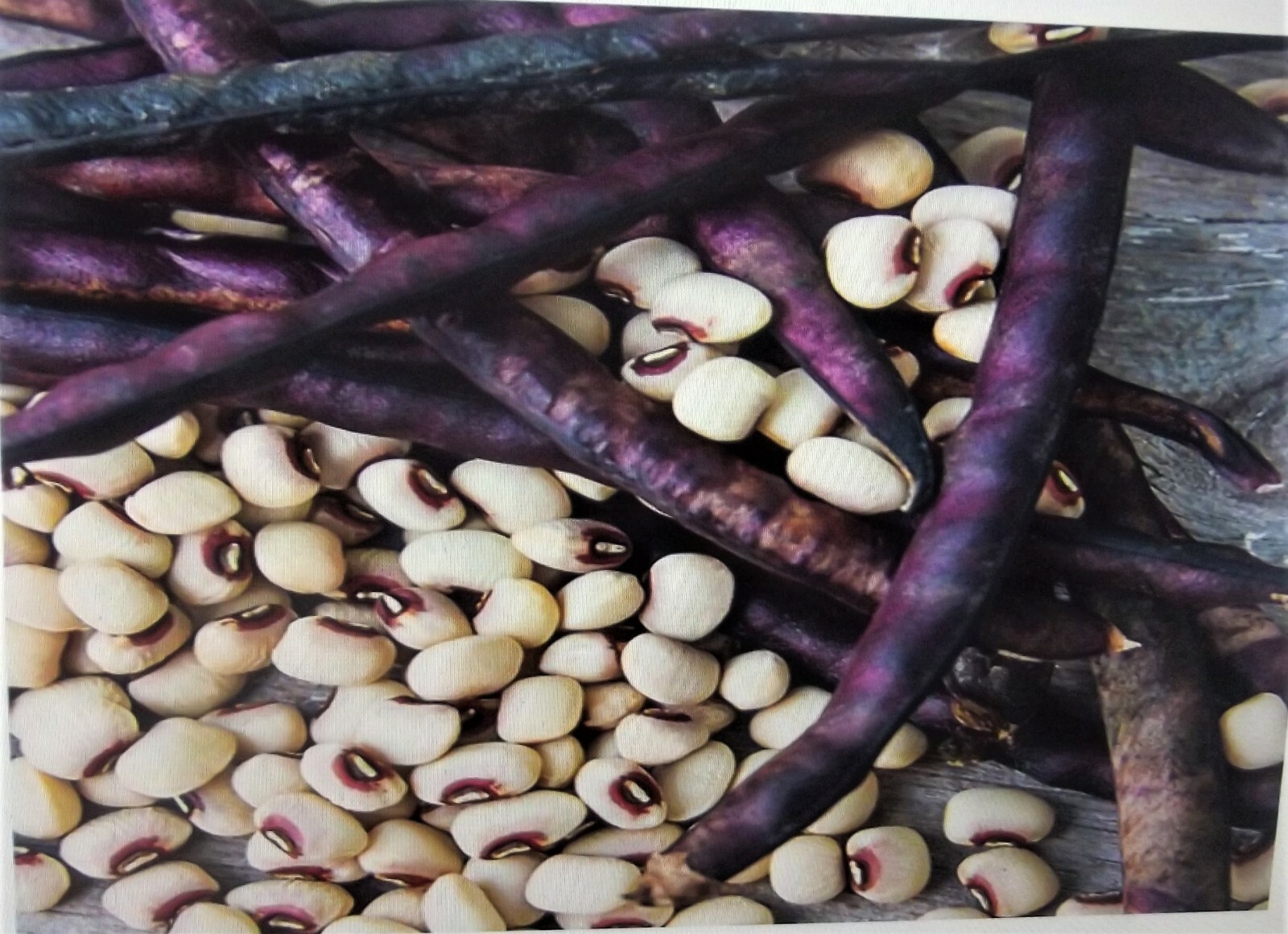 5 Lb Pinkeye Purple Hull BVR Cowpeas Benefits St. Jude