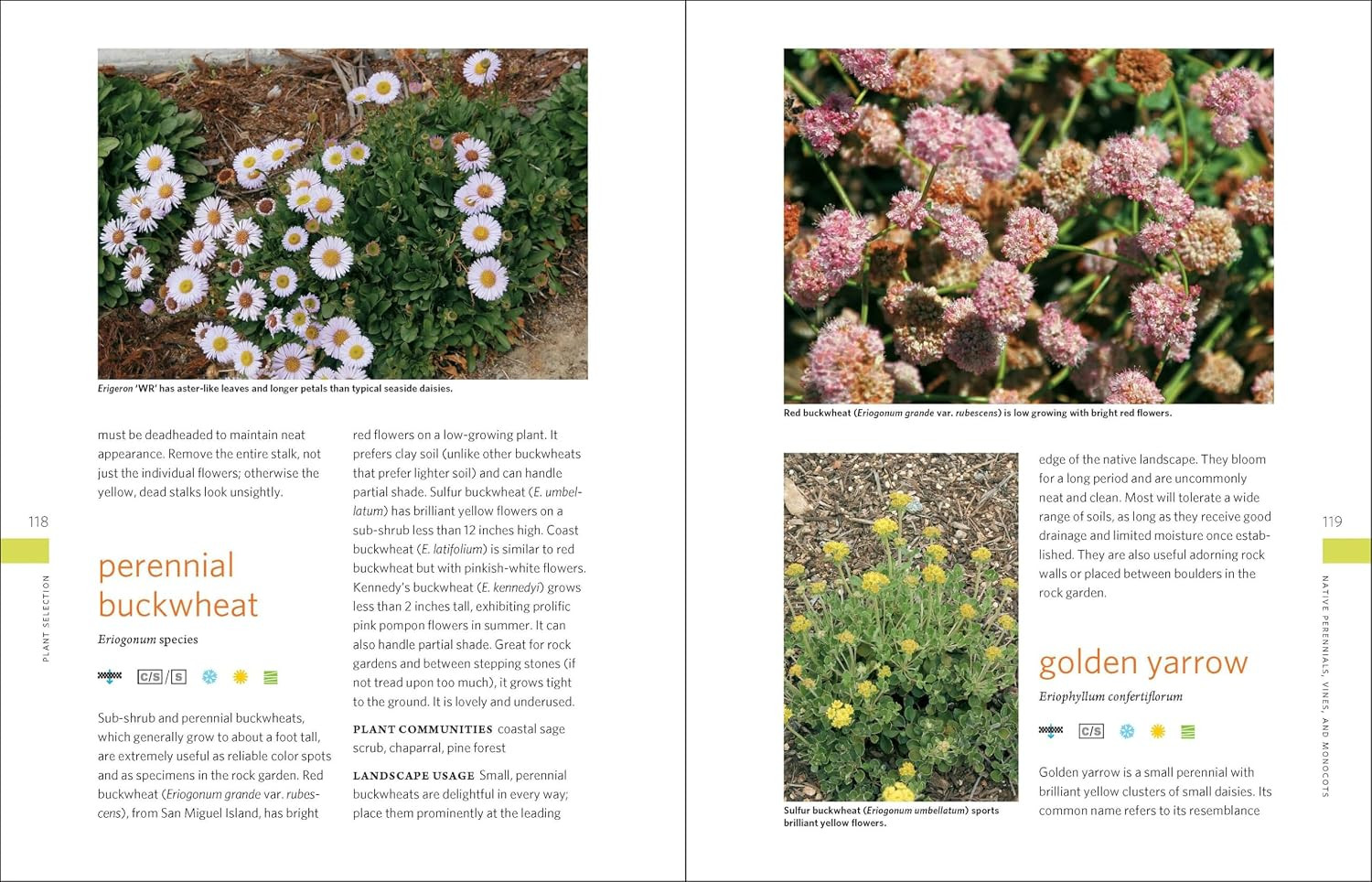 The Drought-Defying California Garden: 230 Native Plants for a Lush, Low-Water L