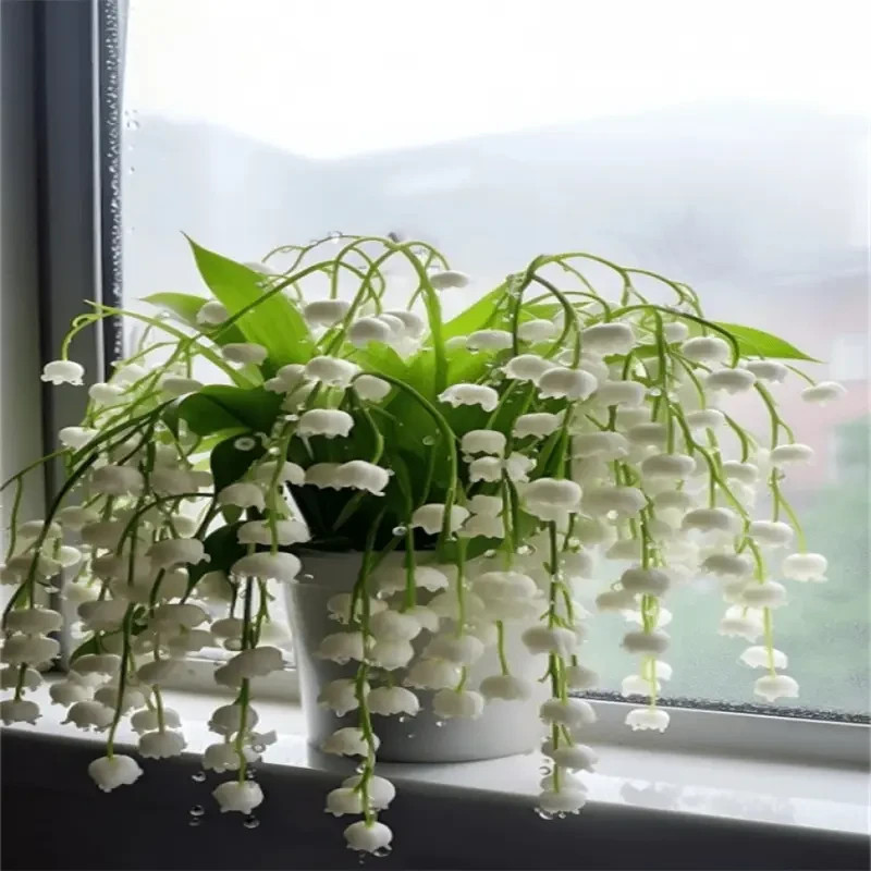 10 pcs Oxydendrum arboreum Lily of the Valley Tree Sourwood Seeds