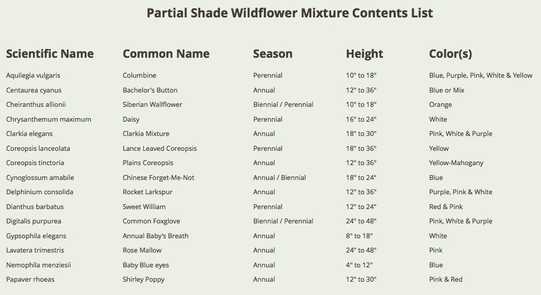 Wildflower Seed Mix for Partial Shade – 2oz, 14 Varieties, Annual & Perennial