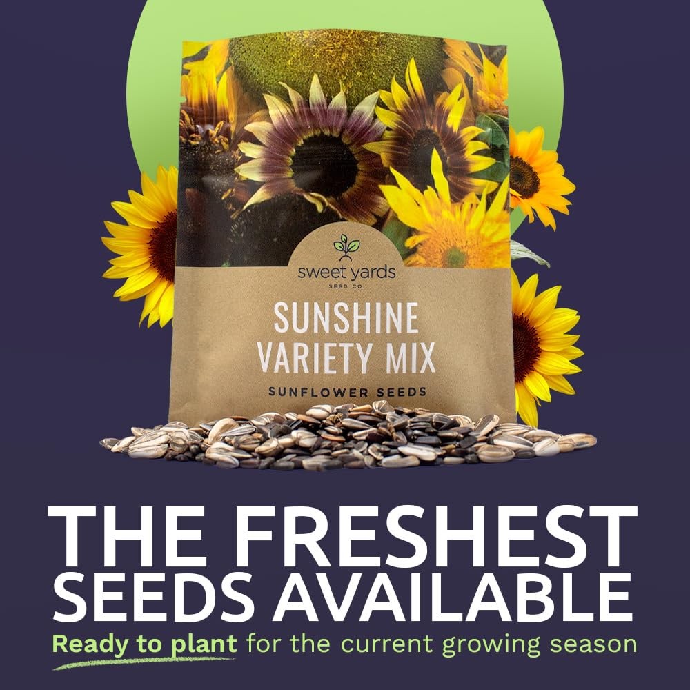 Bulk Sunflower Seed Mix 10 Open Pollinated Varieties, 1 Ounce Packet