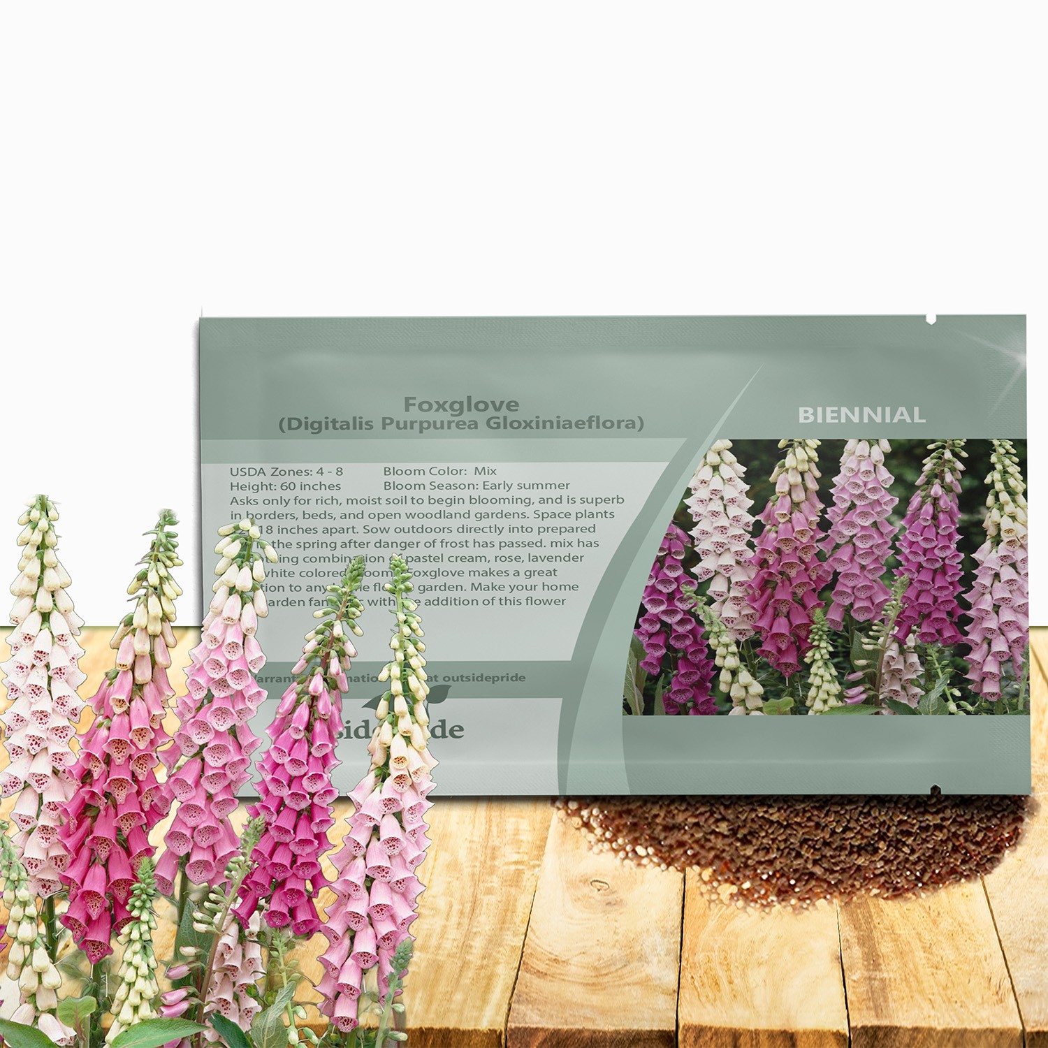 10000 Seeds Foxglove Seeds – Digitalis Purpurea Gloxiniaeflora Flower Seed