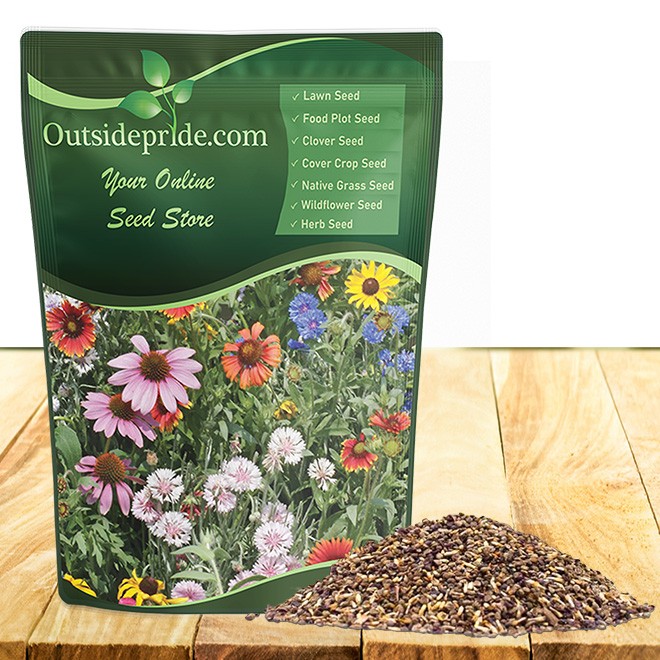 5 LBS Northeast Wildflower Seed Mix For Planting Outdoors