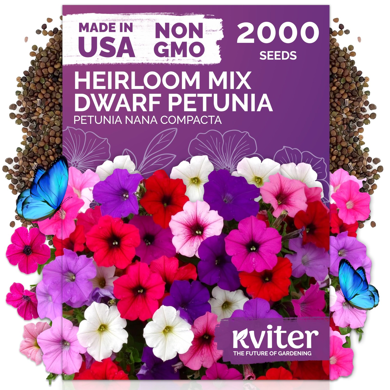 KVITER 2,000 Mix Dwarf Petunia Seeds for Planting Flowers (Nana Compacta)