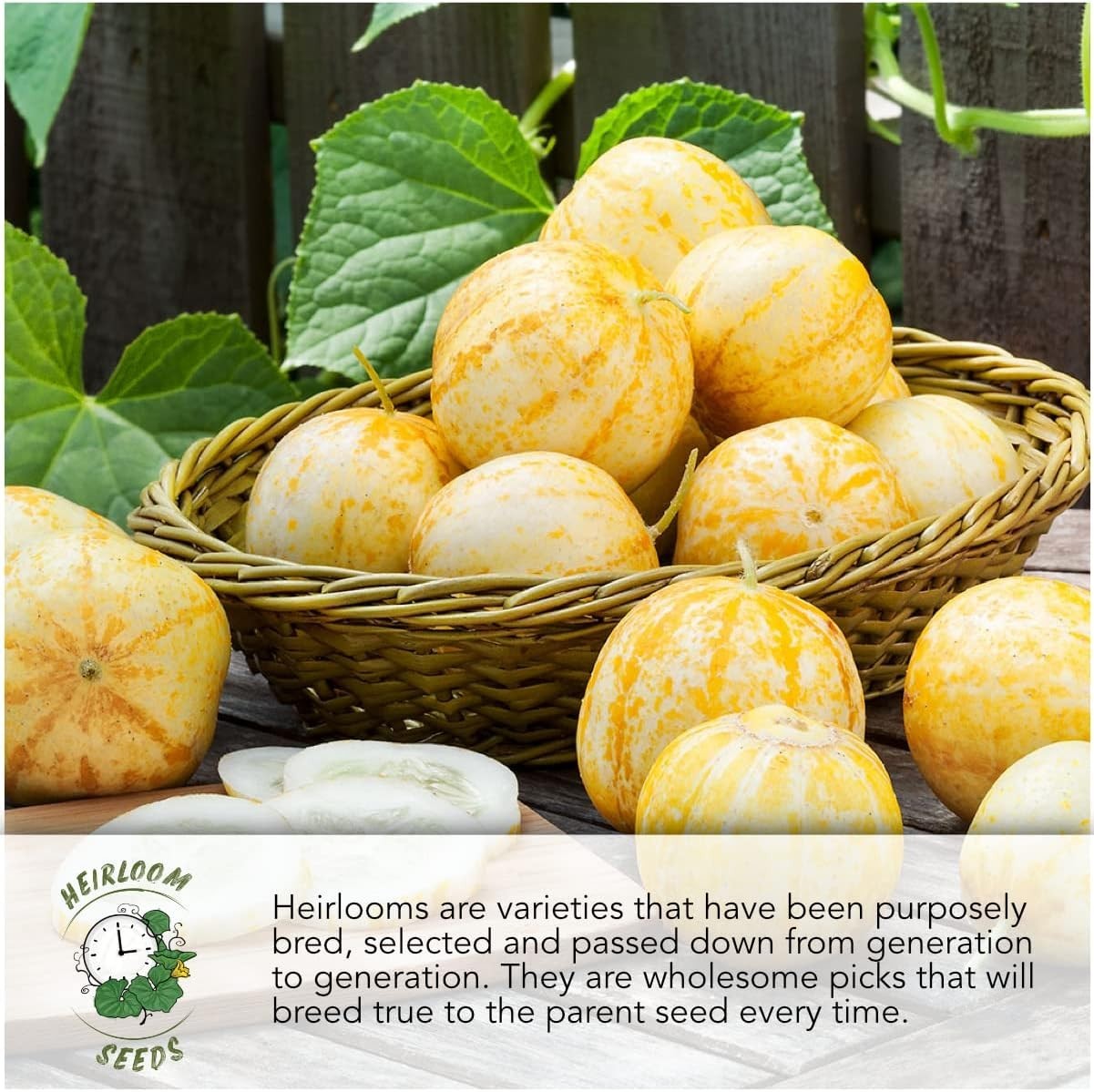 Non-GMO Rainbow Carrot Seeds – Heirloom Quality for Lush Spring & Fall Harvests