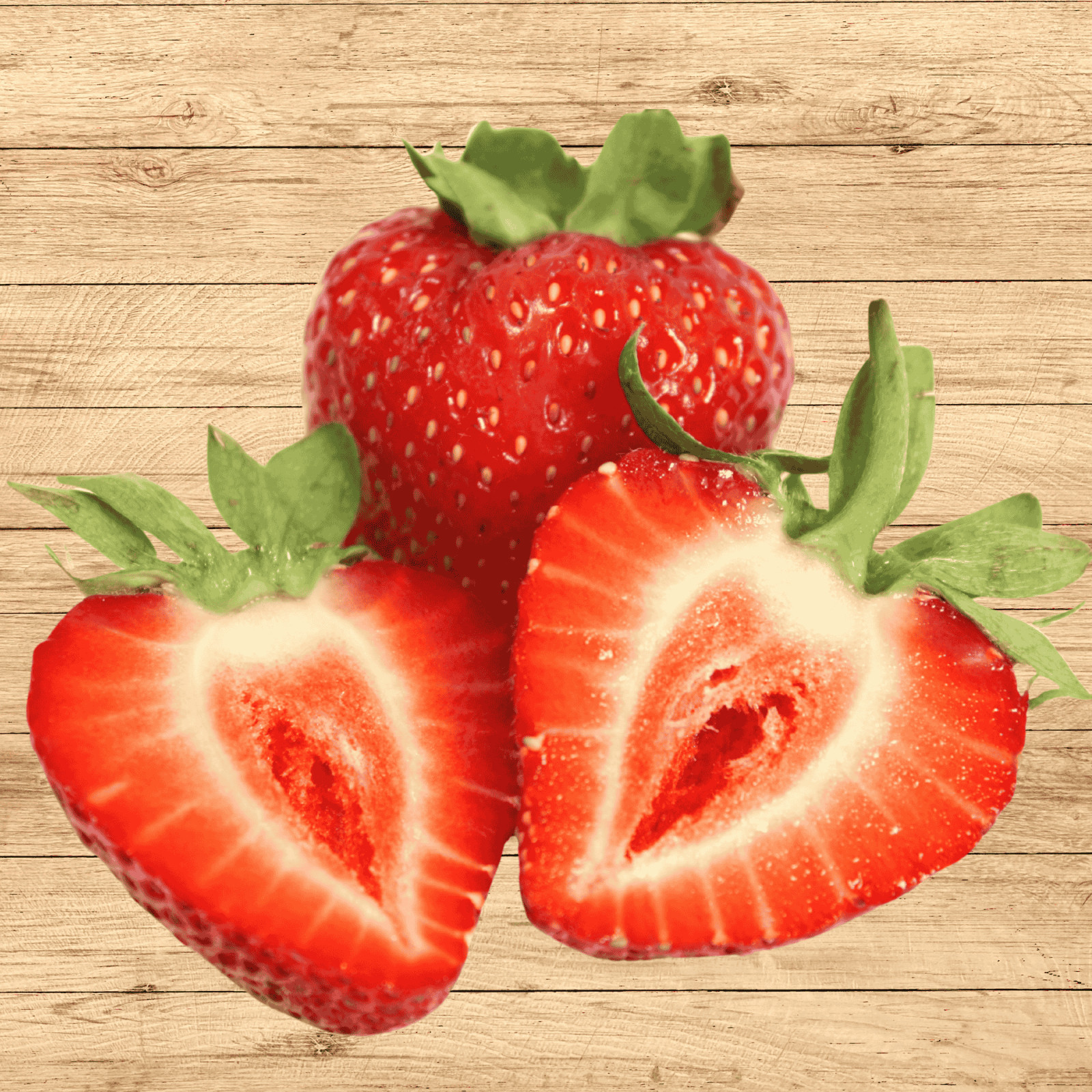 15 Albion Strawberry Roots – Bare Root Plants | Day-Neutral Everbearing Variety
