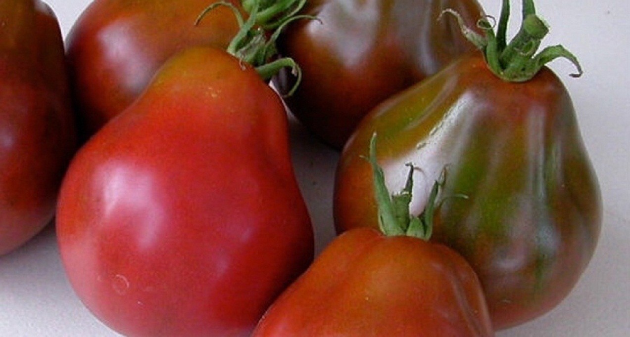Black Truffle Tomato Seeds, Japanese Black Trifele, NON-GMO, Potato Leaf