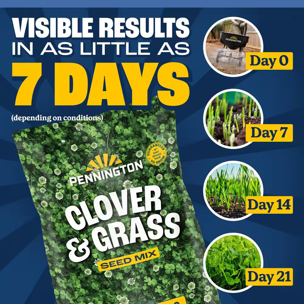 7 Lbs. Clover and Grass Seed Mix
