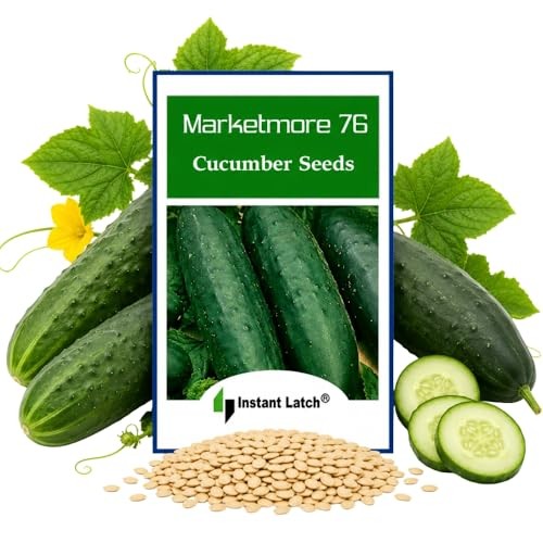50 Marketmore 76 Cucumber Seeds | Non-GMO | Heirloom | Instant Latch Garden