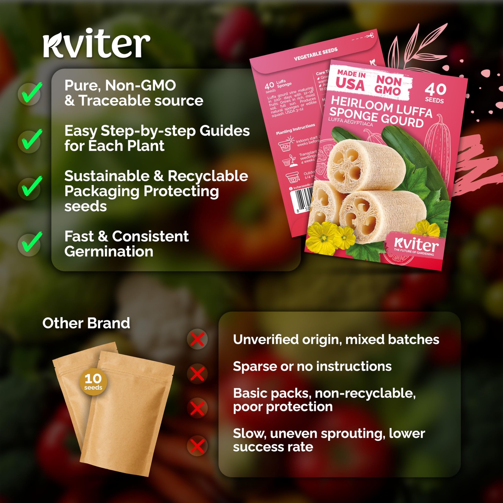 KVITER 40 Luffa Seeds (Luffa Aegyptiaca)