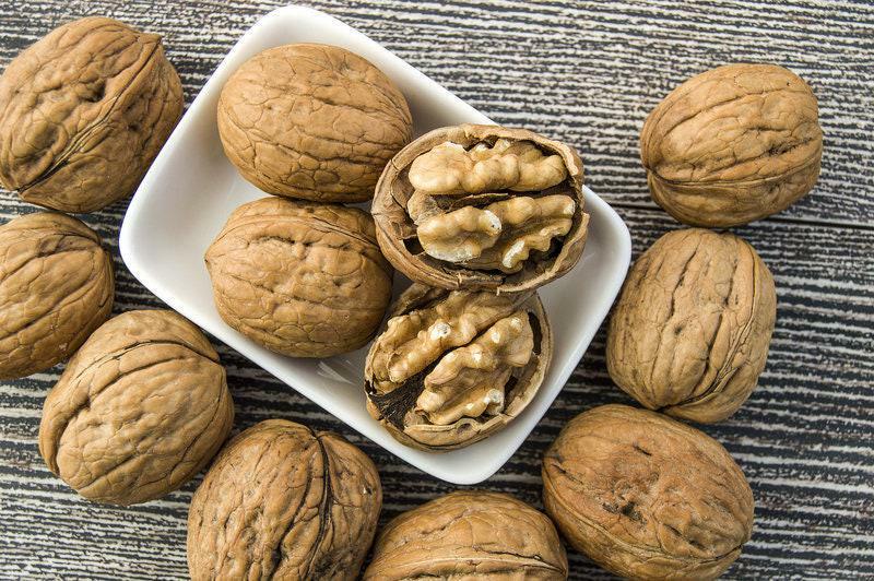 Black Walnut Tree – 2-3 Foot Tall Live Plant – 24-36″ Tall – Juglans nigra