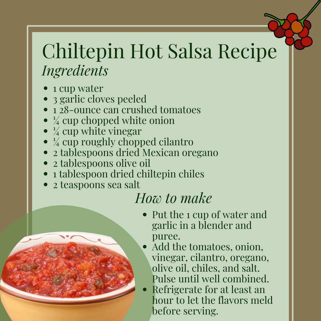 25 Chiltepin pepper seeds, aka Bird Peppers, Capsicum annum, Very Hot Pepper