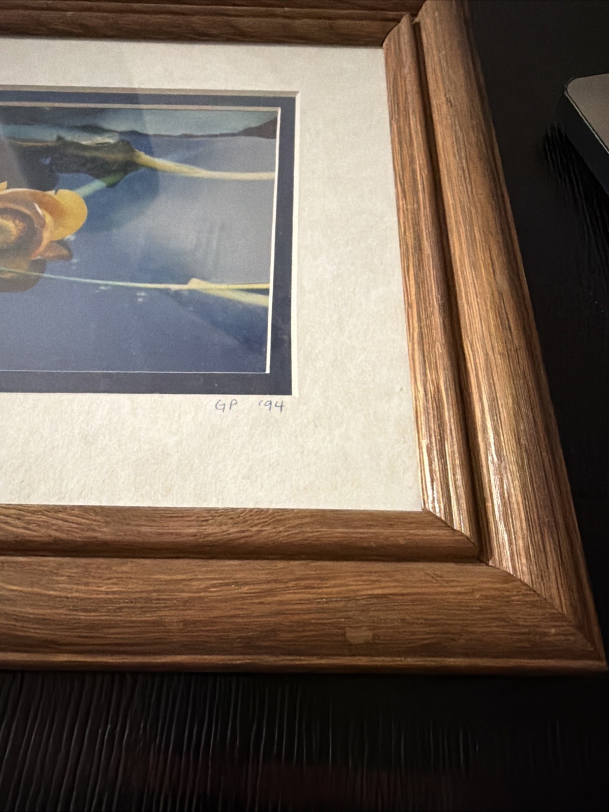 Yellow Water Lily Pad – Alaska GP 94