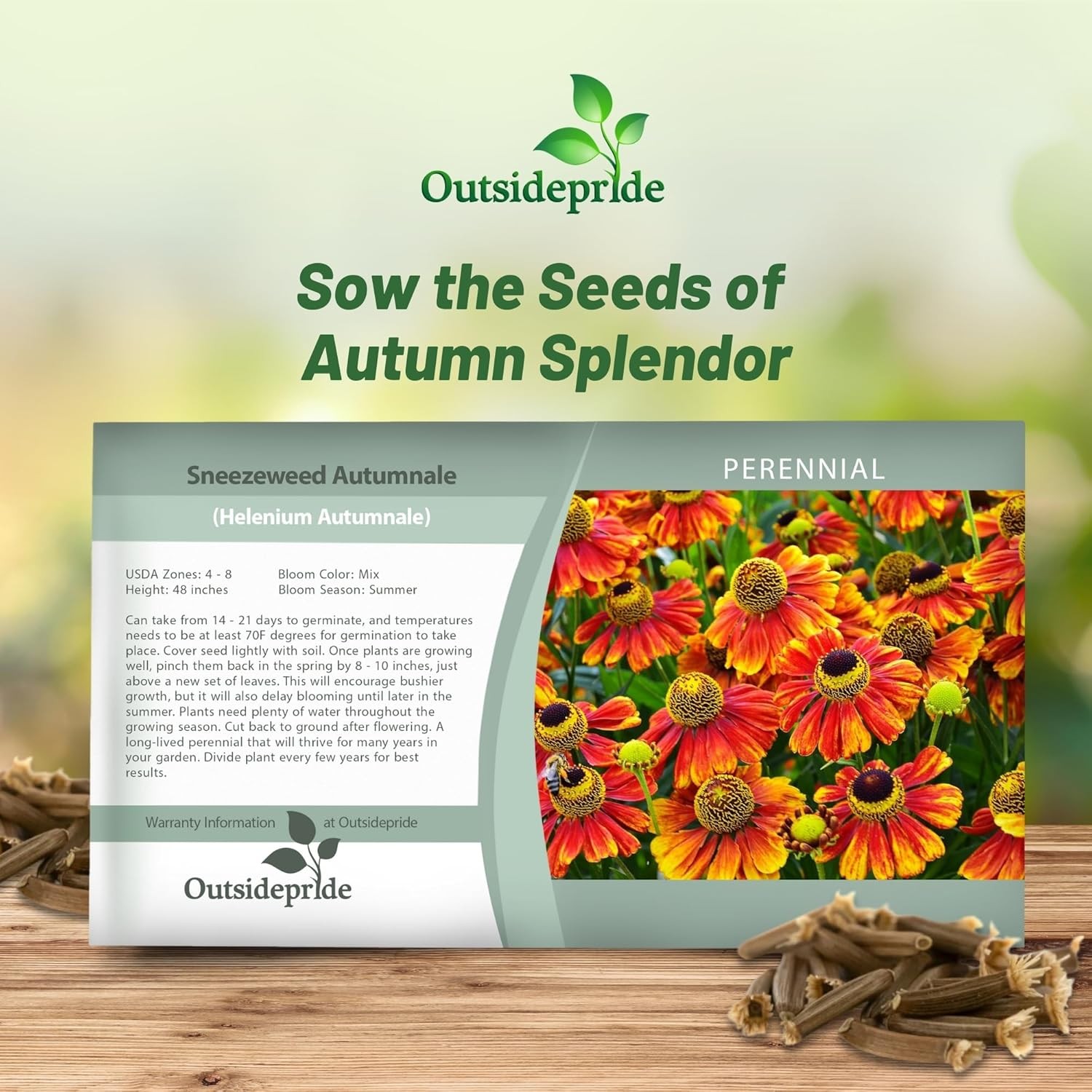 2000 Seeds Helenium Seeds – Sneezeweed Helenium Autumnale Flower Seed