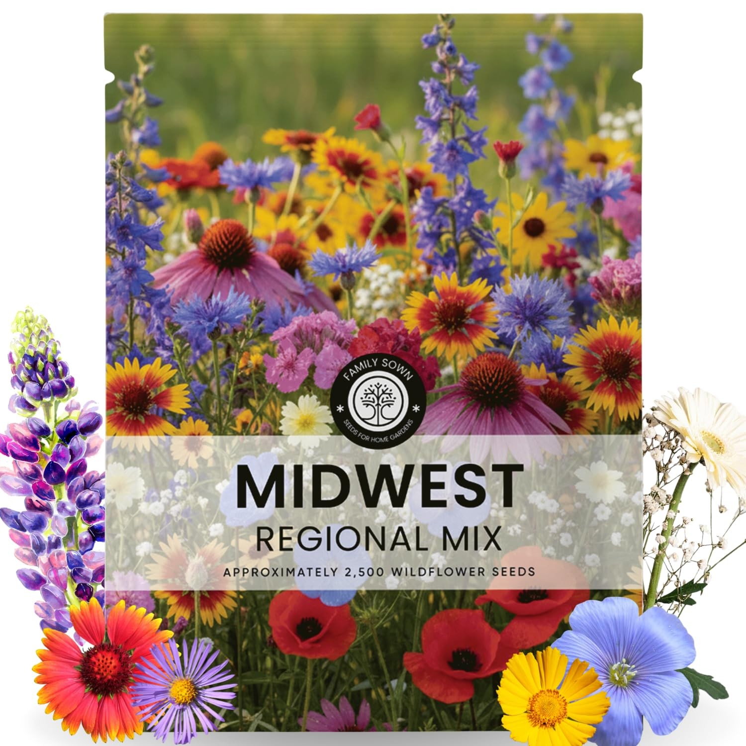 Midwest Regional Wildflower Seeds – 2,500 Seeds, 5 Gram Pouch – Native Blend