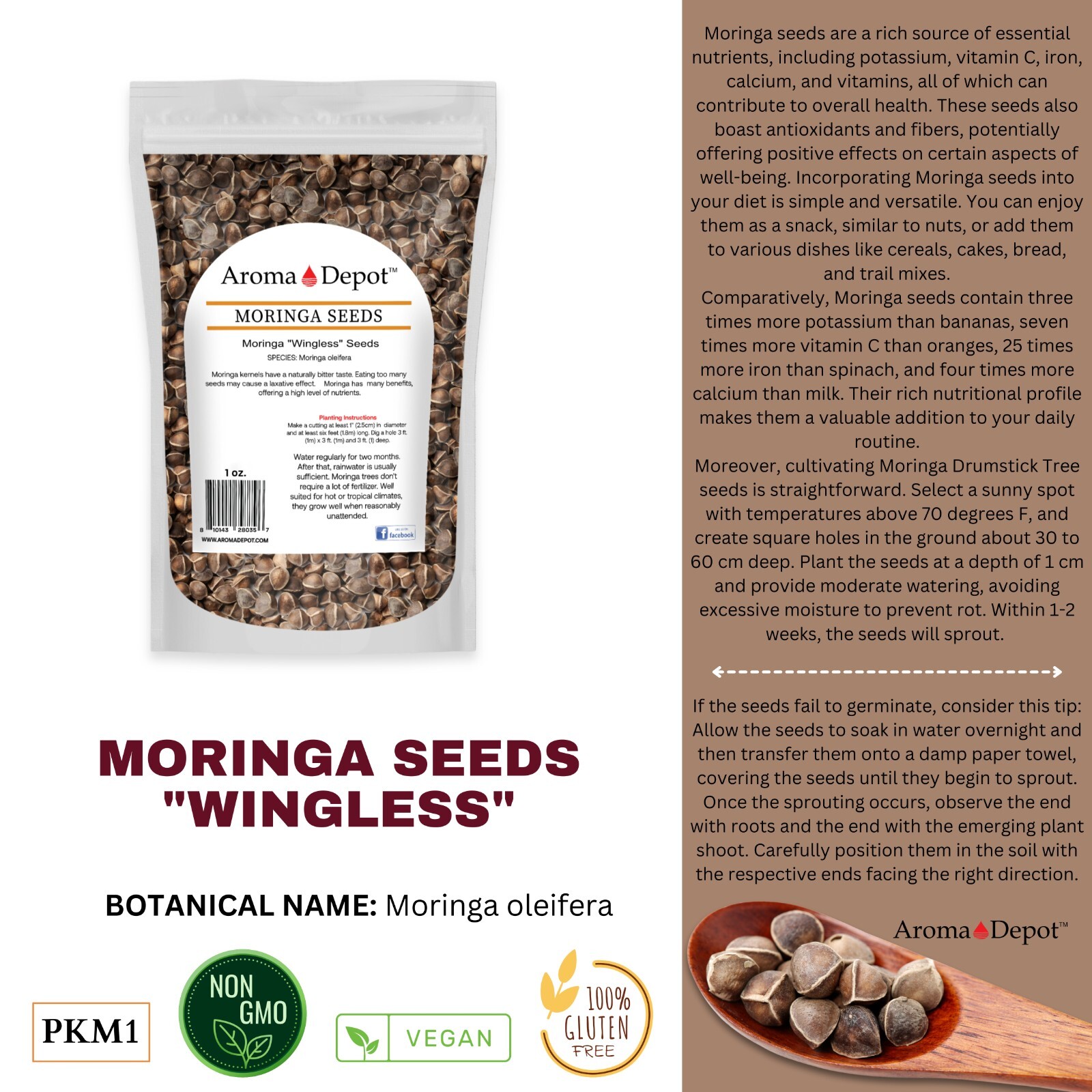 Moringa Seeds 1 oz. Wingless Semillas de Moringa Pepa oleifera Approx. 100 Seeds