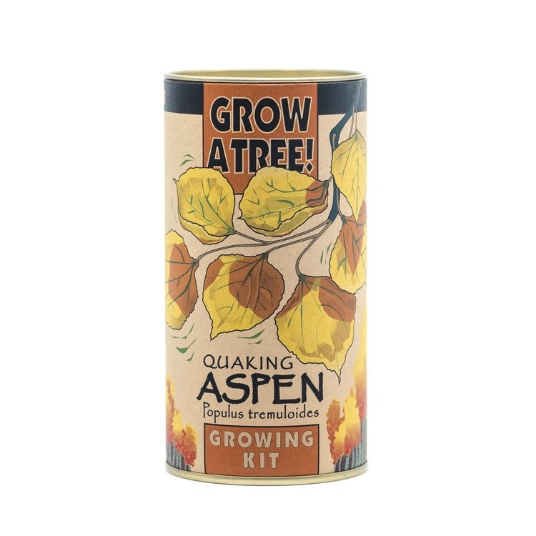 Quaking Aspen – Seed Grow Kit by Jonsteen Company