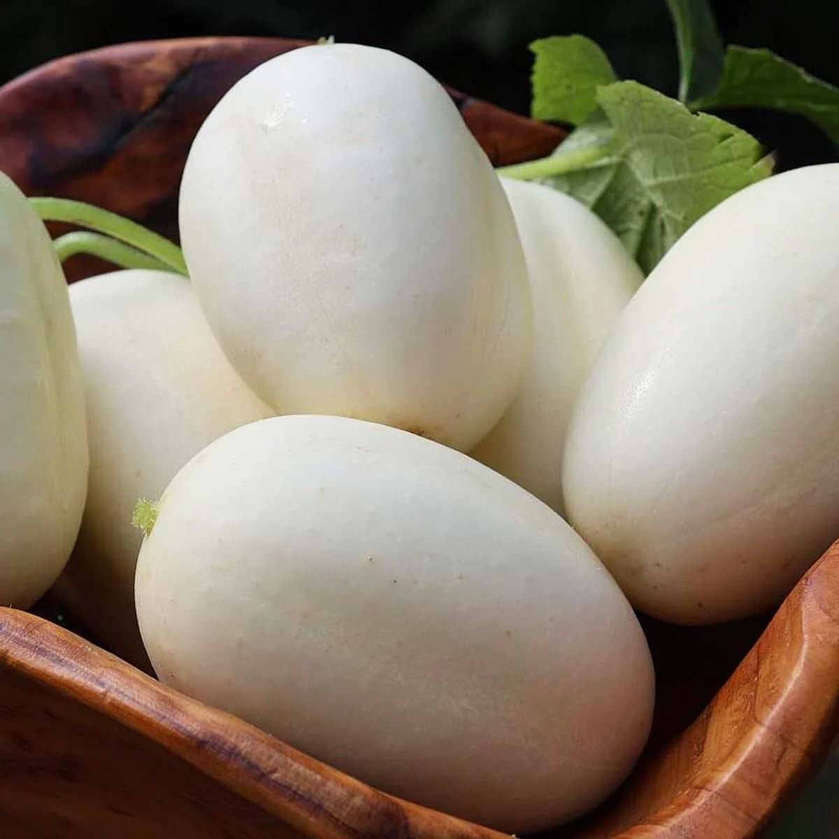 30+ Seed Dragon’s Egg Cucumber Seeds for Planting-Plant & Grow