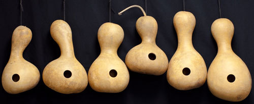 Birdhouse Bottle Gourd Seeds, Lagenaria siceraria