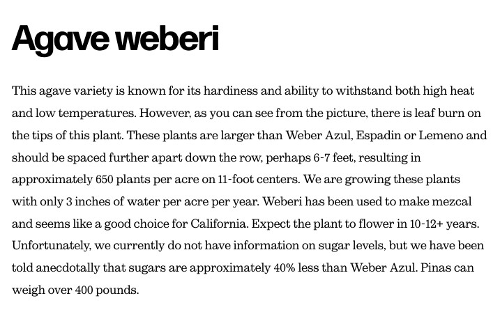 Agave weberi – 3 Bulbils, Ornamental & Spirit Production, Dec 2025