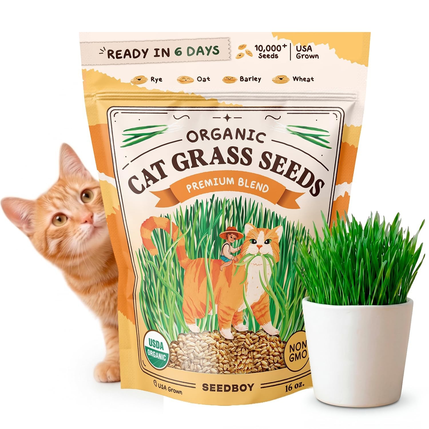 Organic Cat Grass Seeds – Non-GMO Wheat, Oat, Rye & Barley for Indoor Cats (16 o