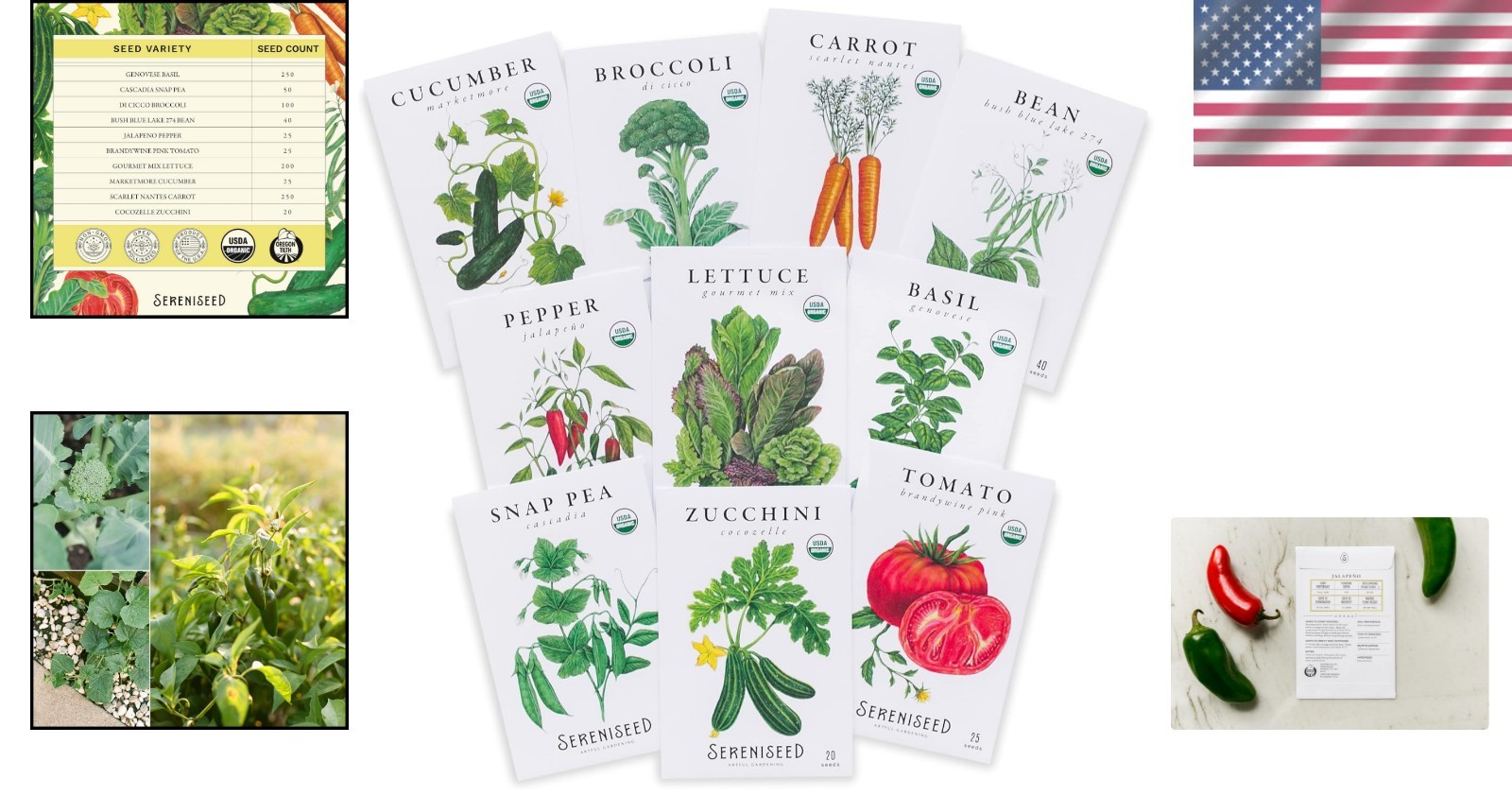 Diverse 10-Pack Organic Vegetable Seeds for Vibrant Gardening – Non-GMO Quality