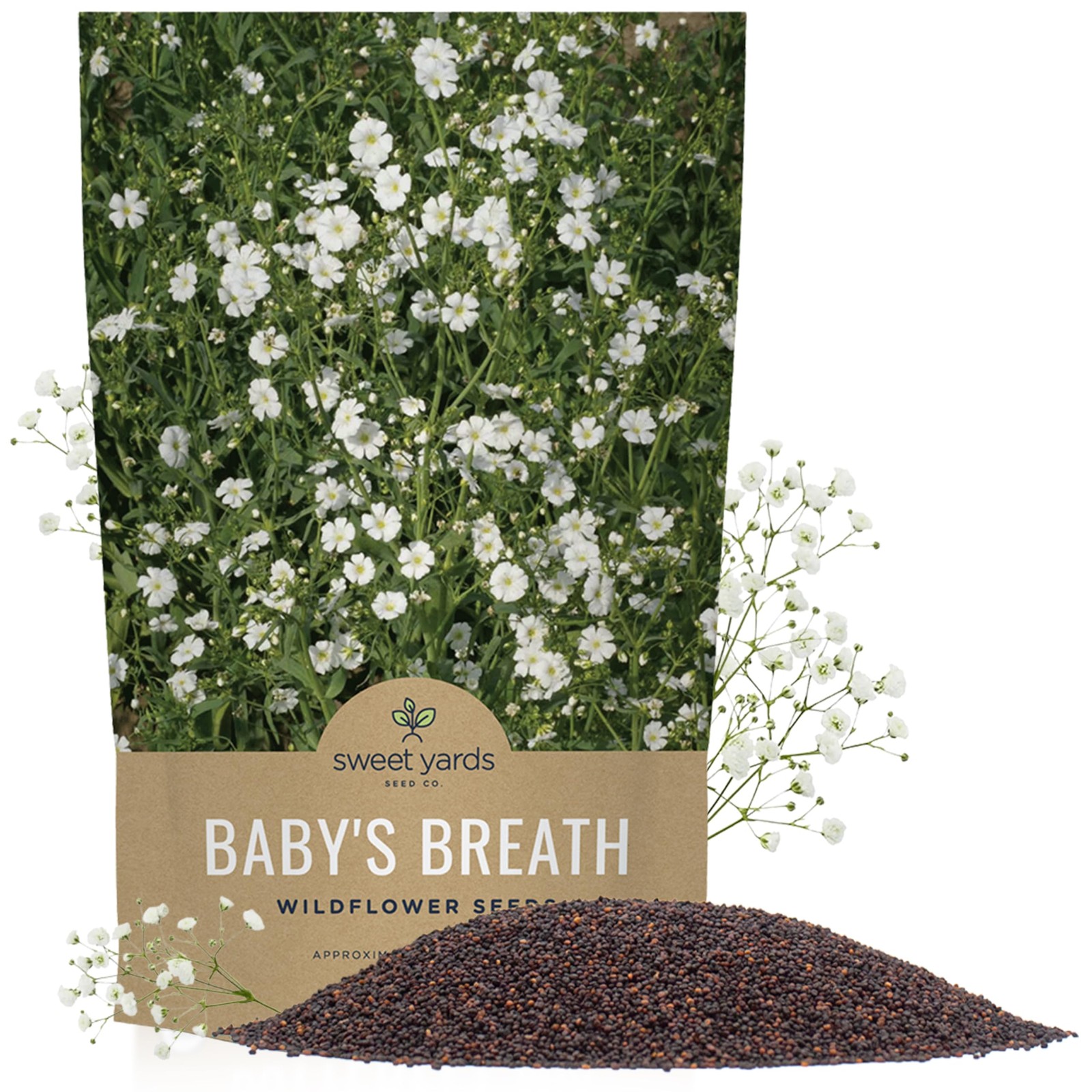 Showy Baby’s Breath Seeds – Bulk Quarter Pound Bag – 1/4 Bag, White