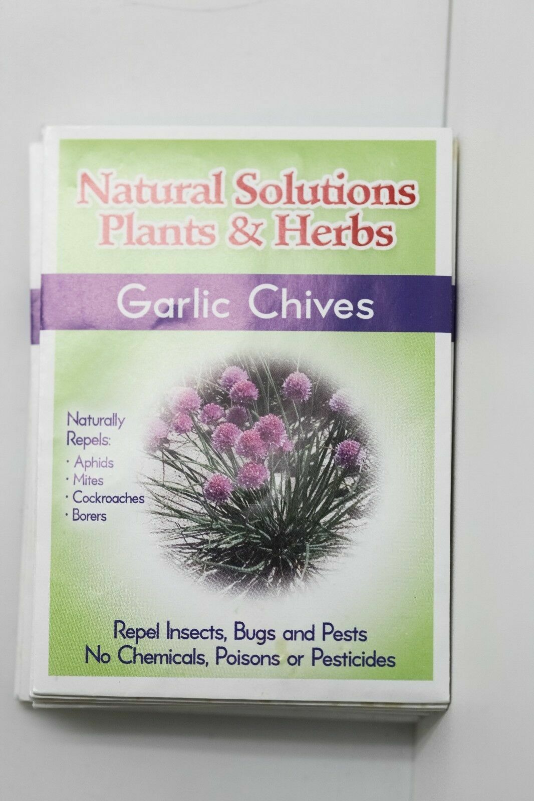 Natural Solutions Plants & Herbs Variety 10 pack of Seeds Holistic Remedies Pest