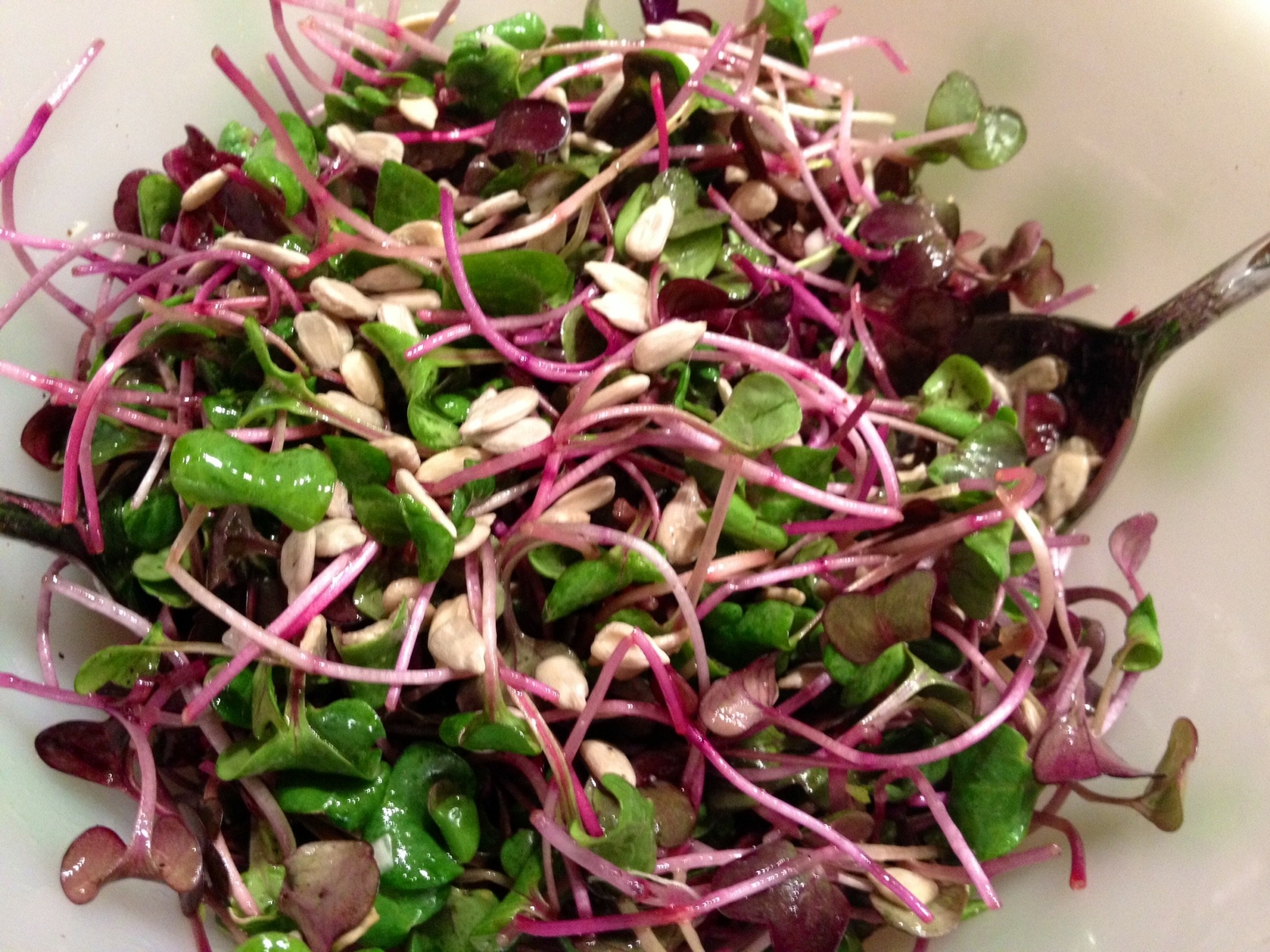 16 oz Red Radish