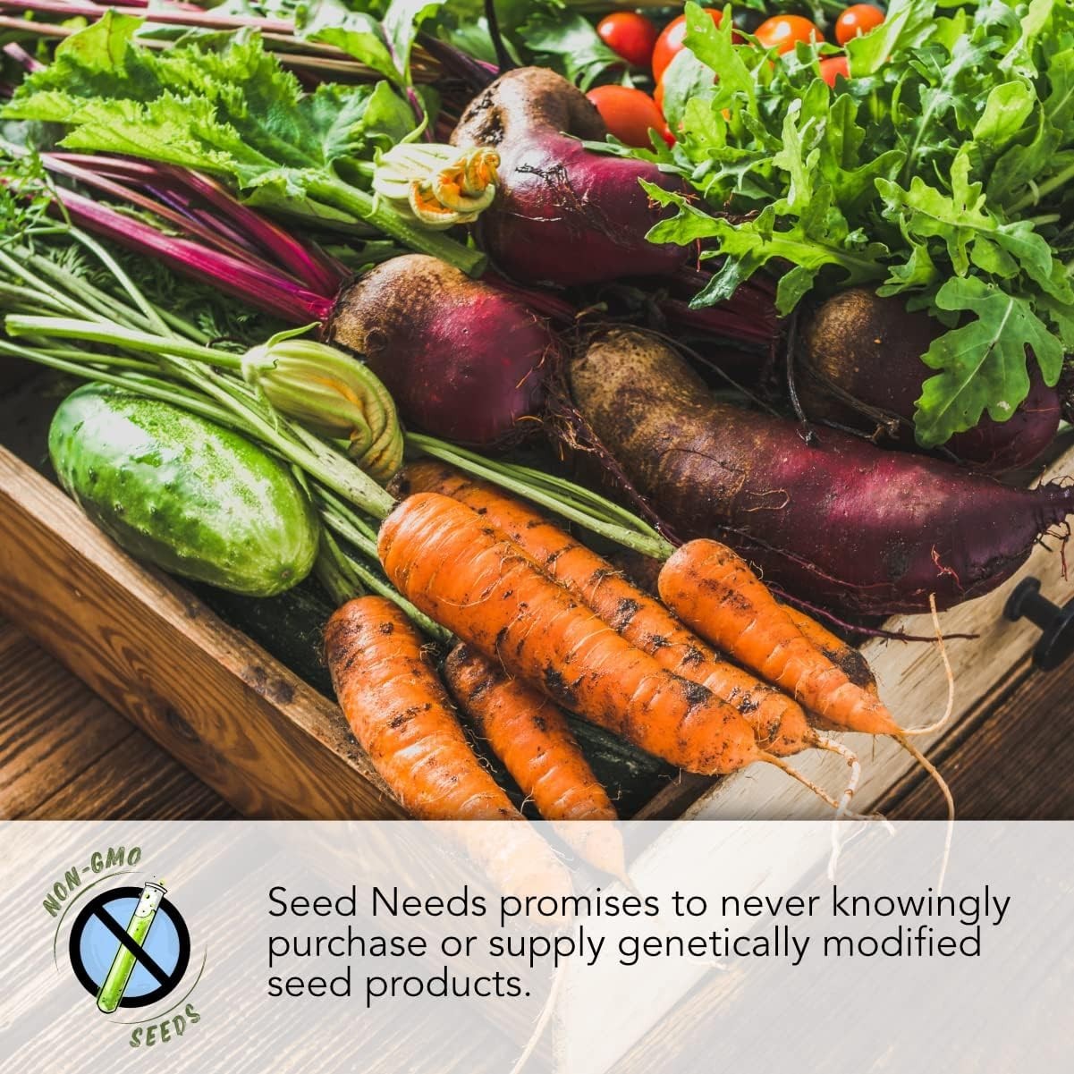 Non-GMO Rainbow Carrot Seeds – Heirloom Quality for Lush Spring & Fall Harvests