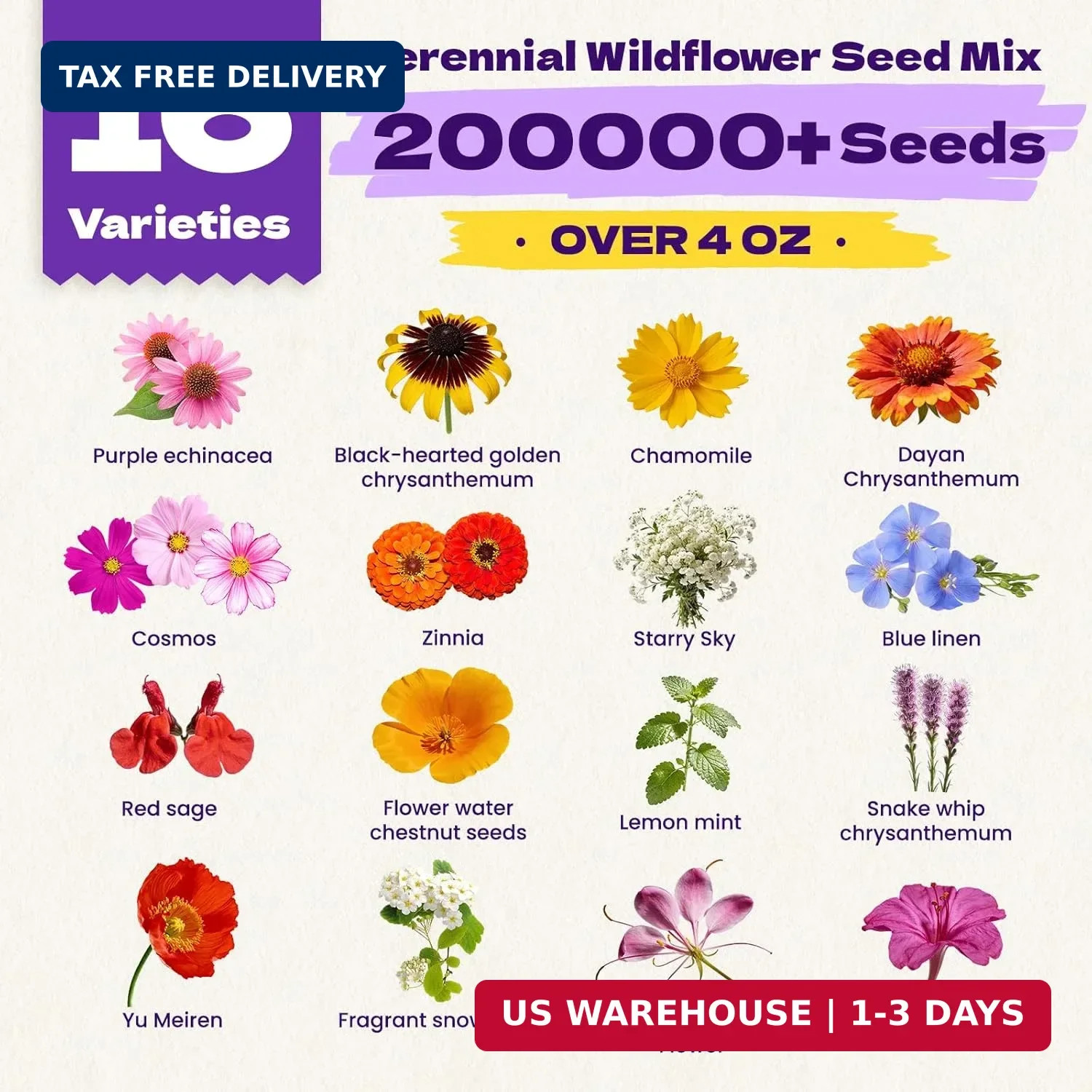 200,000+ Wildflower Seeds Bulk (4oz) – 16 Varieties Perennial & Annual Mix, Non-