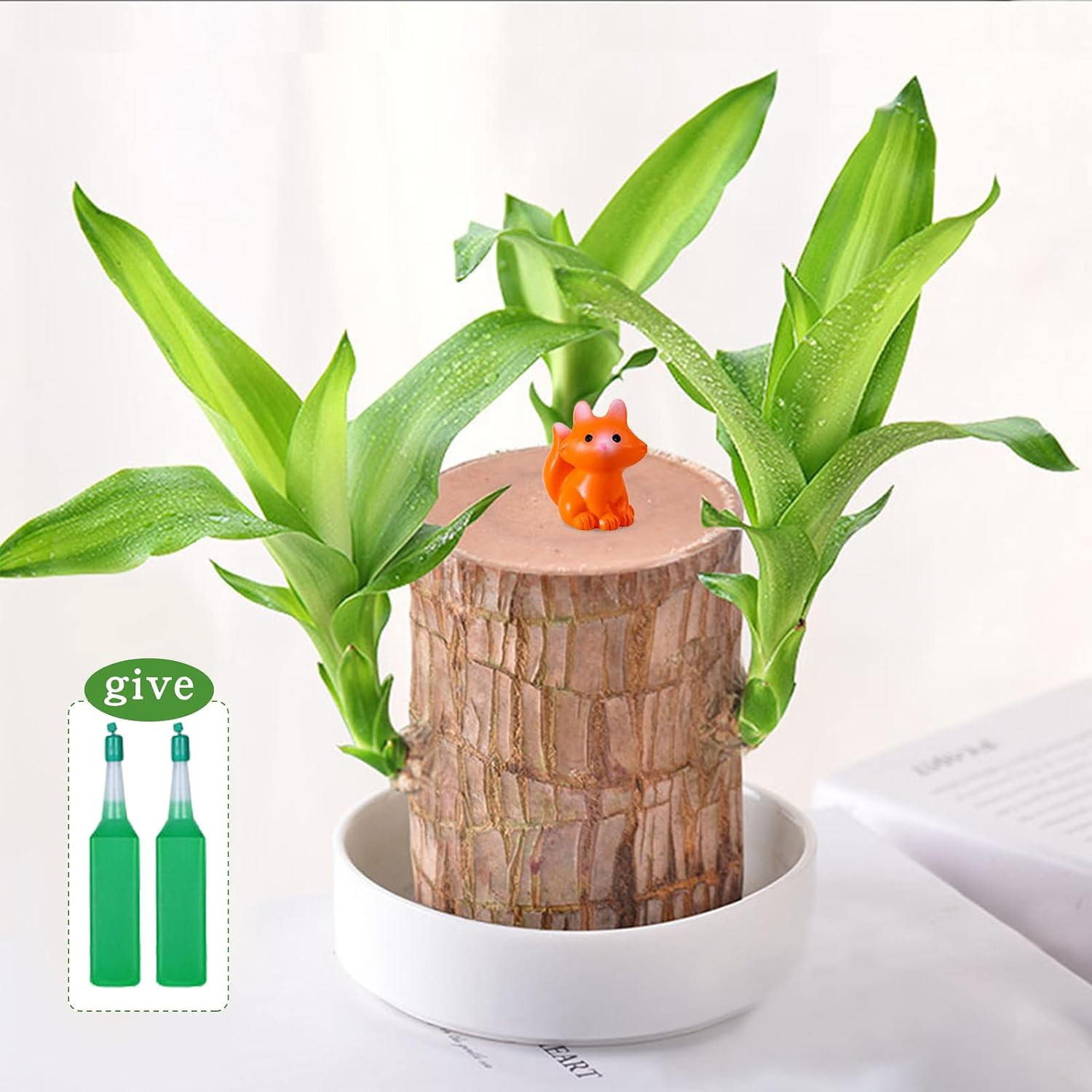 Brazilian Lucky Wood Plant,Fortune Brazil Wood Potted Plant with Little Fox Figu