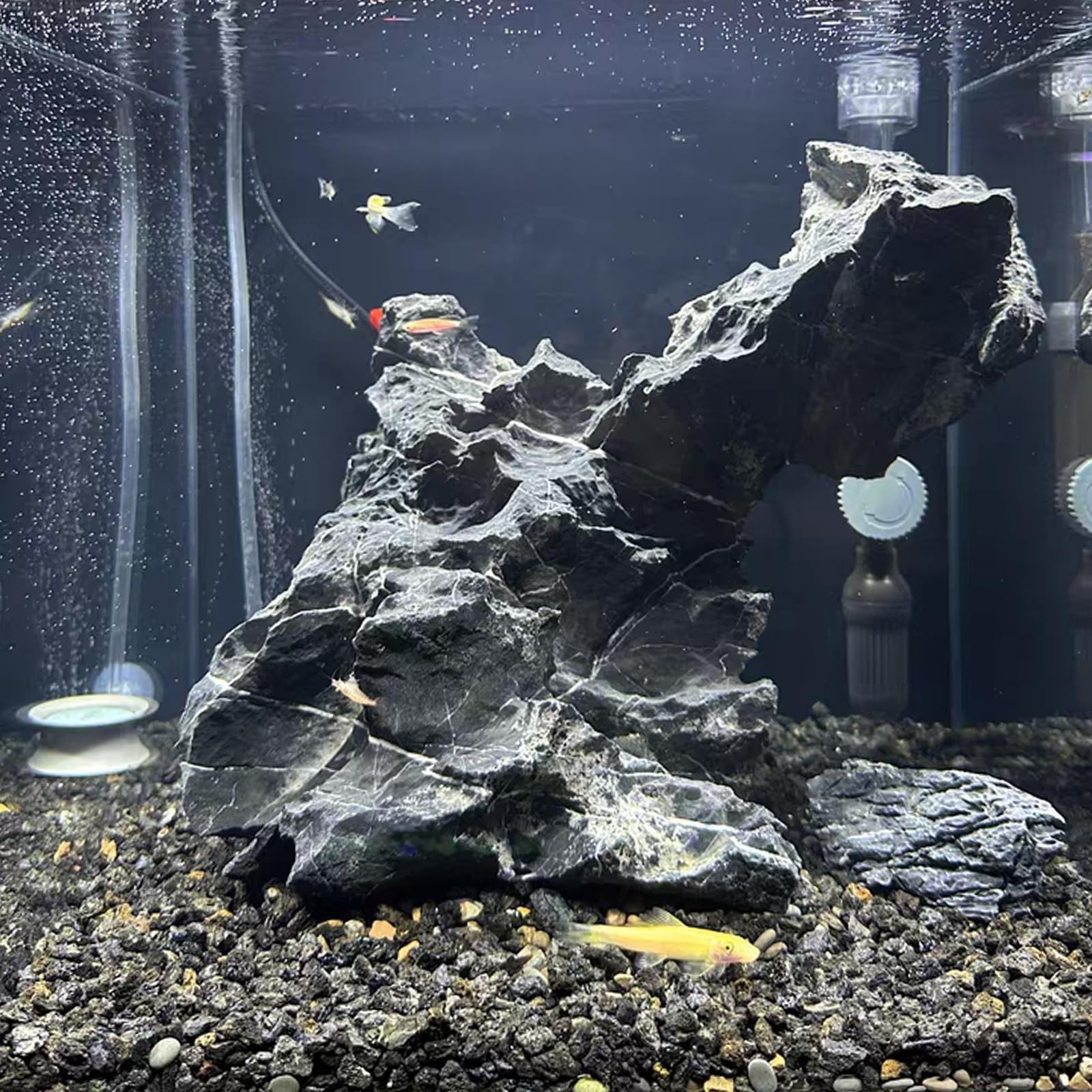 FANTIAN 2 lbs Small Black Lava Rocks for Plants,1/4 Inch