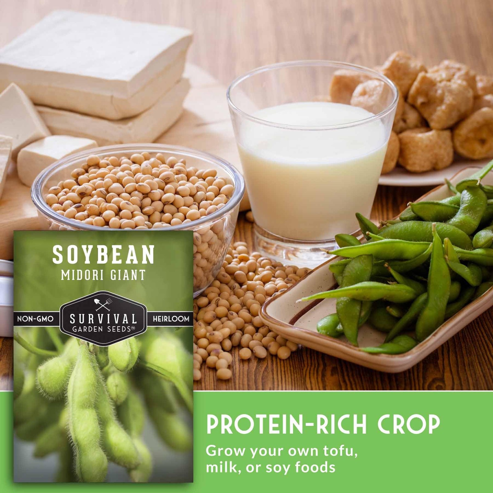 Midori Giant Soybean Seeds for Planting – Grow Protein-Rich Edamame Green