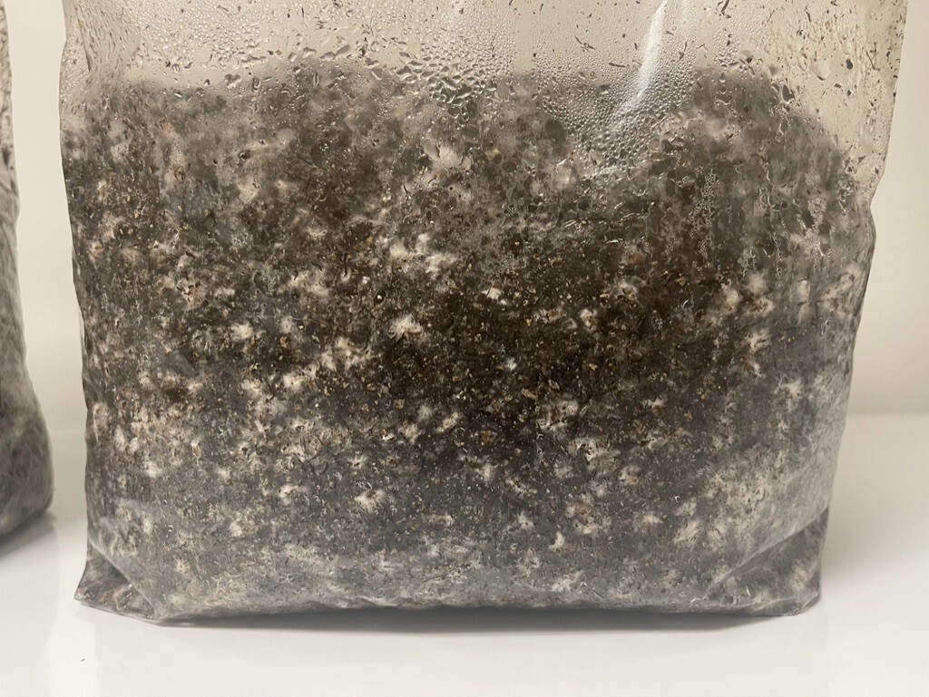 MycoHaus 5 LBS Sterilized Compost Bulk Mushroom Substrate Grow Kit Spawn bags