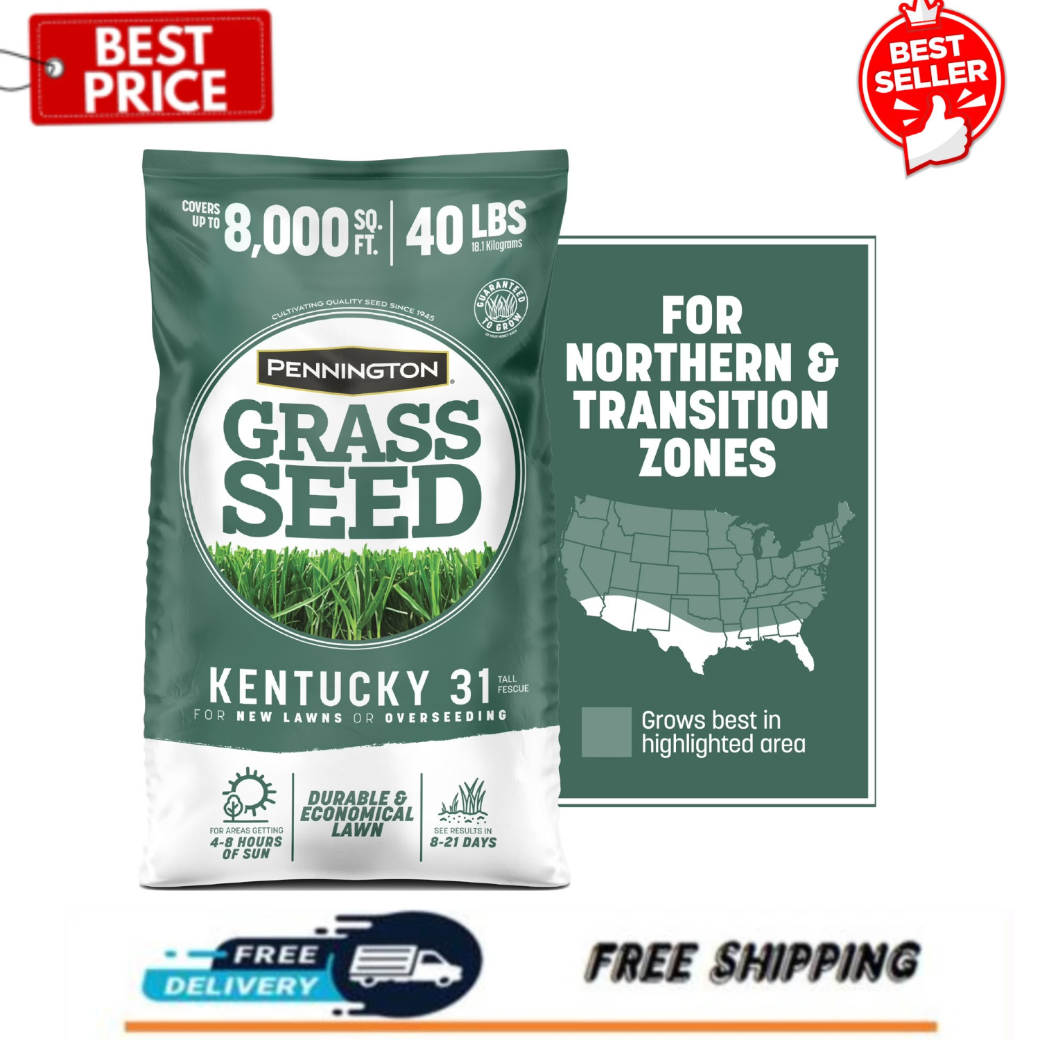 Pennington Kentucky 31 Tall Fescue Grass Seeds for Lawn, Sun to Partial Shade