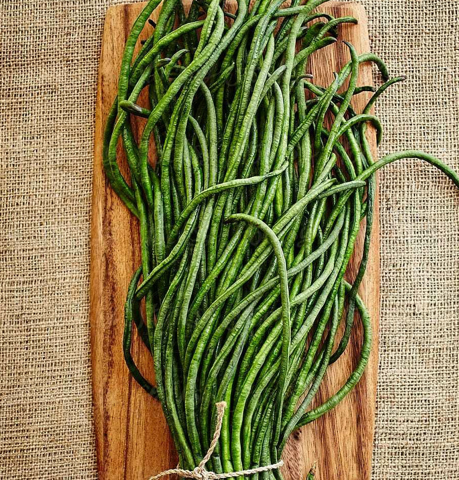 Yu Long Yard Long Bean Seeds |USA Chinese Green Beans Asian Snake Pods Seed 2024
