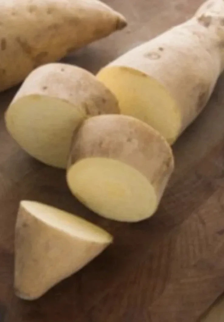 10 White Sweet potato Slips / Cuttings / Asian White Sweet Potato Plants / Khoai