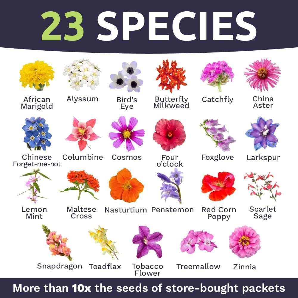 Wildflower Seeds Butterfly and Humming Bird Mix – Large 1 Ounce Packet 7,500+…